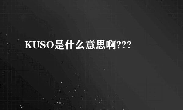 KUSO是什么意思啊???