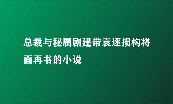 总裁与秘属剧建带袁逐损构将面再书的小说