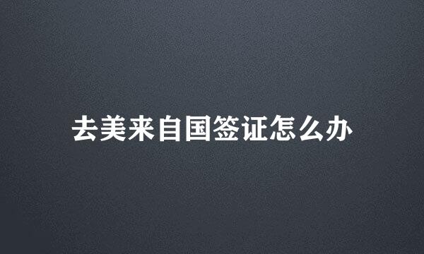 去美来自国签证怎么办