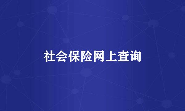 社会保险网上查询