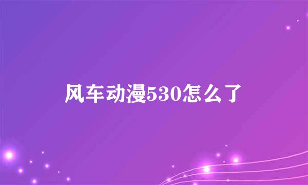 风车动漫530怎么了