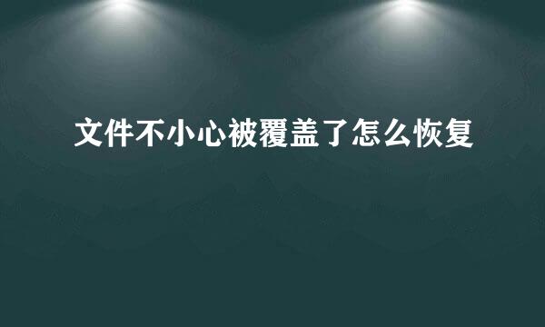 文件不小心被覆盖了怎么恢复