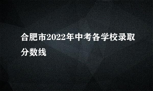 合肥市2022年中考各学校录取分数线