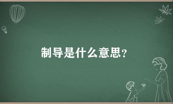 制导是什么意思？