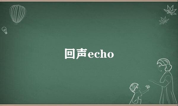 回声echo