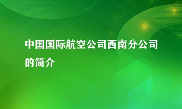 中国国际航空公司西南分公司的简介