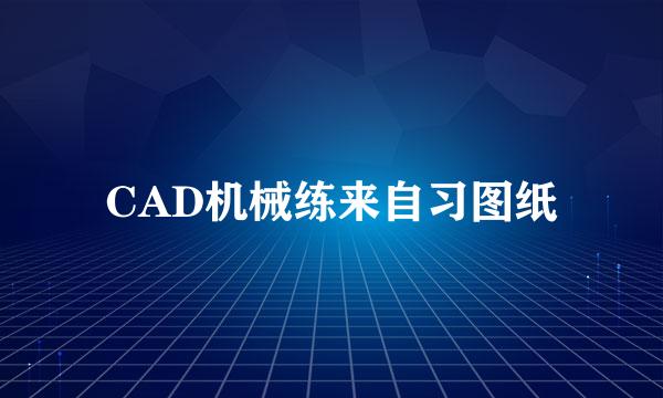 CAD机械练来自习图纸