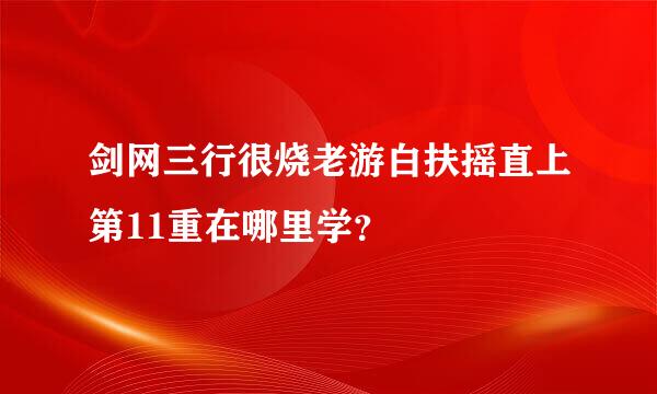 剑网三行很烧老游白扶摇直上第11重在哪里学？