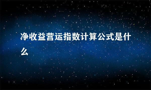 净收益营运指数计算公式是什么