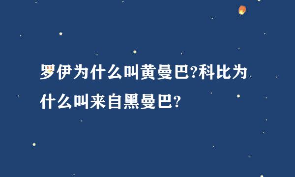 罗伊为什么叫黄曼巴?科比为什么叫来自黑曼巴?