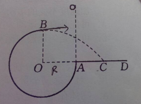 数学上的R代表什么数