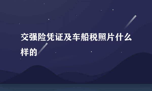 交强险凭证及车船税照片什么样的