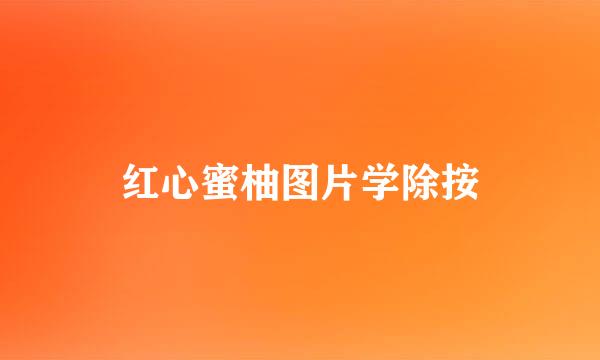 红心蜜柚图片学除按