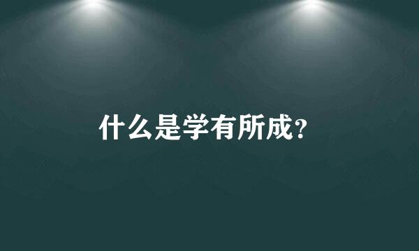 什么是学有所成？