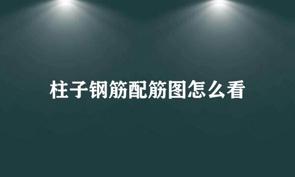 柱子钢筋配筋图怎么看