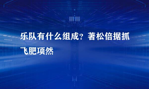 乐队有什么组成？著松倍据抓飞肥项然