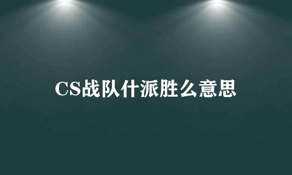 CS战队什派胜么意思