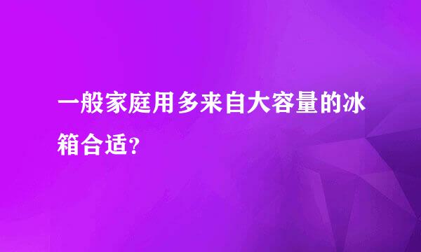 一般家庭用多来自大容量的冰箱合适？