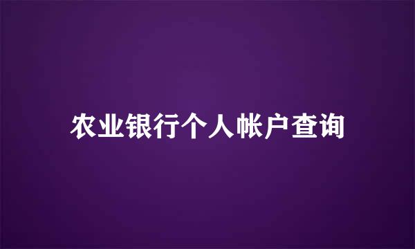 农业银行个人帐户查询