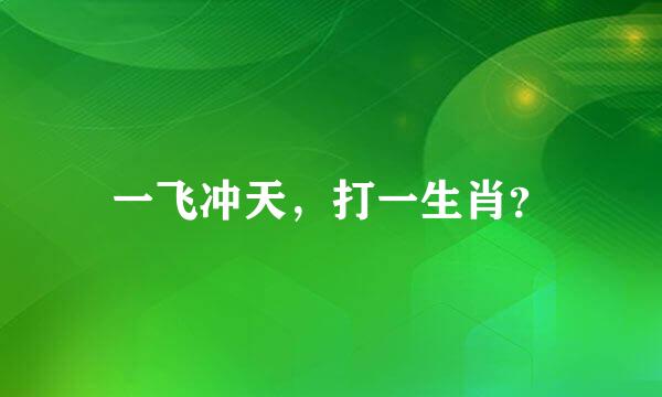 一飞冲天，打一生肖？