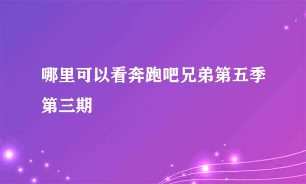 哪里可以看奔跑吧兄弟第五季第三期