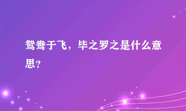 鸳鸯于飞，毕之罗之是什么意思？