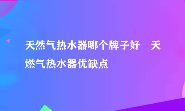 天然气热水器哪个牌子好 天燃气热水器优缺点