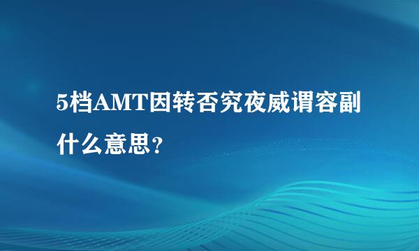 5档AMT因转否究夜威谓容副什么意思？