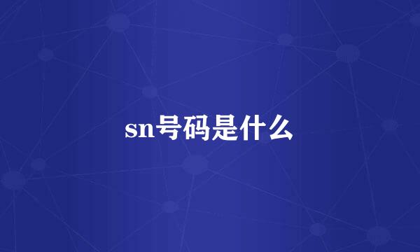 sn号码是什么