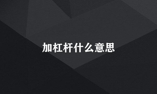 加杠杆什么意思