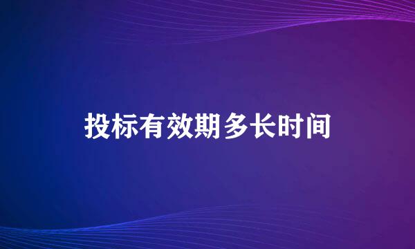 投标有效期多长时间