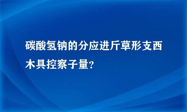 碳酸氢钠的分应进斤草形支西木具控察子量？