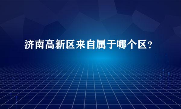 济南高新区来自属于哪个区？