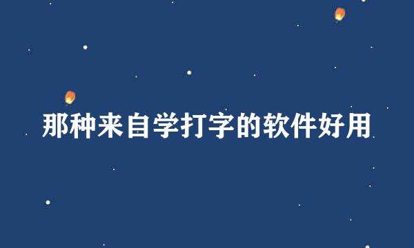 那种来自学打字的软件好用