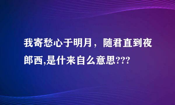 我寄愁心于明月，随君直到夜郎西,是什来自么意思???