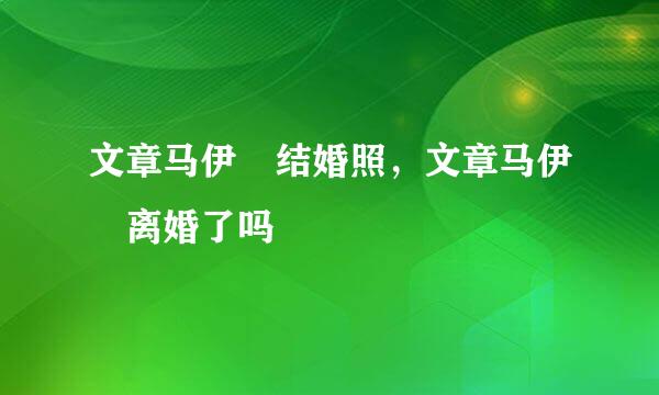 文章马伊琍结婚照，文章马伊琍离婚了吗