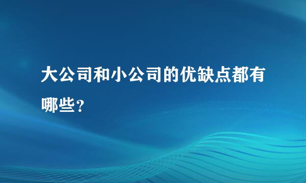 大公司和小公司的优缺点都有哪些？