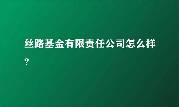 丝路基金有限责任公司怎么样？