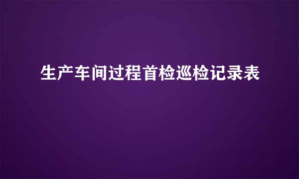 生产车间过程首检巡检记录表