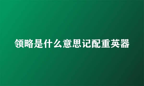 领略是什么意思记配重英器