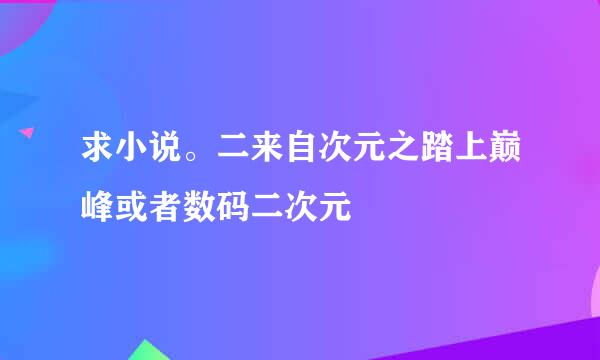 求小说。二来自次元之踏上巅峰或者数码二次元