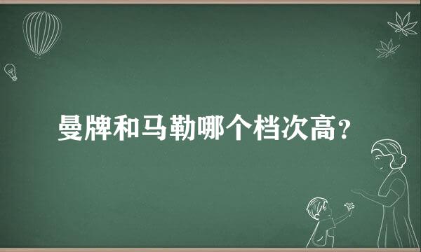 曼牌和马勒哪个档次高？