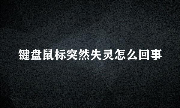 键盘鼠标突然失灵怎么回事