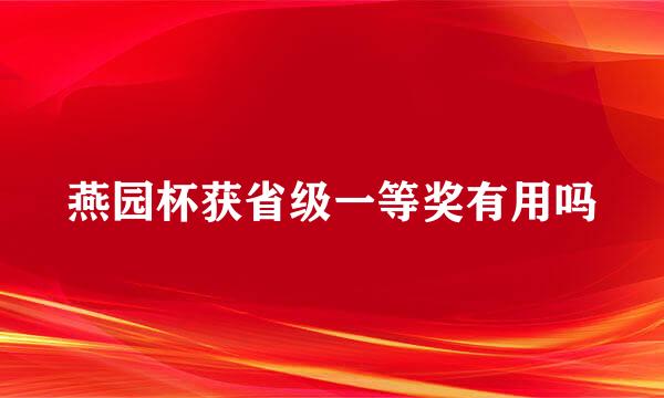 燕园杯获省级一等奖有用吗