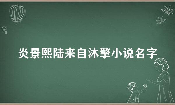 炎景熙陆来自沐擎小说名字