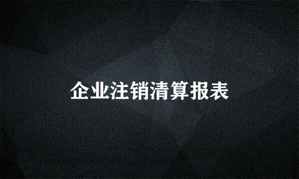 企业注销清算报表