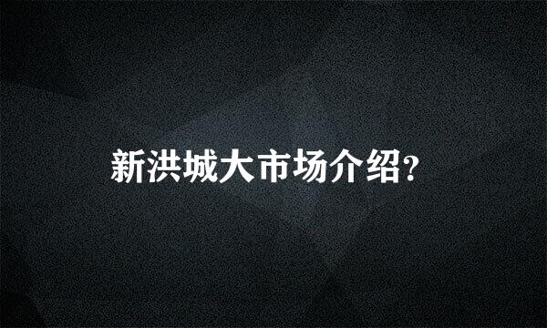 新洪城大市场介绍？