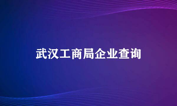 武汉工商局企业查询