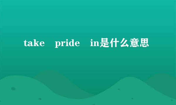 take pride in是什么意思