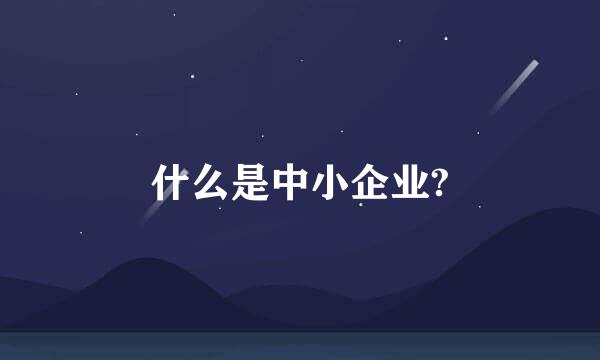 什么是中小企业?